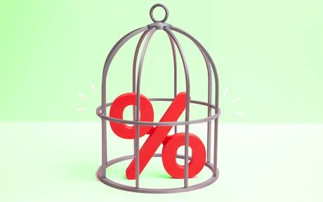 Interest Rate Caps Lead to Credit Reallocation: Impact on Safer Borrowers