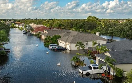 Insights into Homeowner's Insurance: Understanding Risk Management in Property Coverage