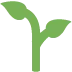 🌱