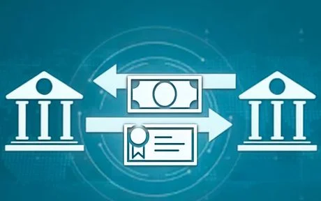 Understanding the Dynamics of Repo Markets: Key Borrowers and Lenders